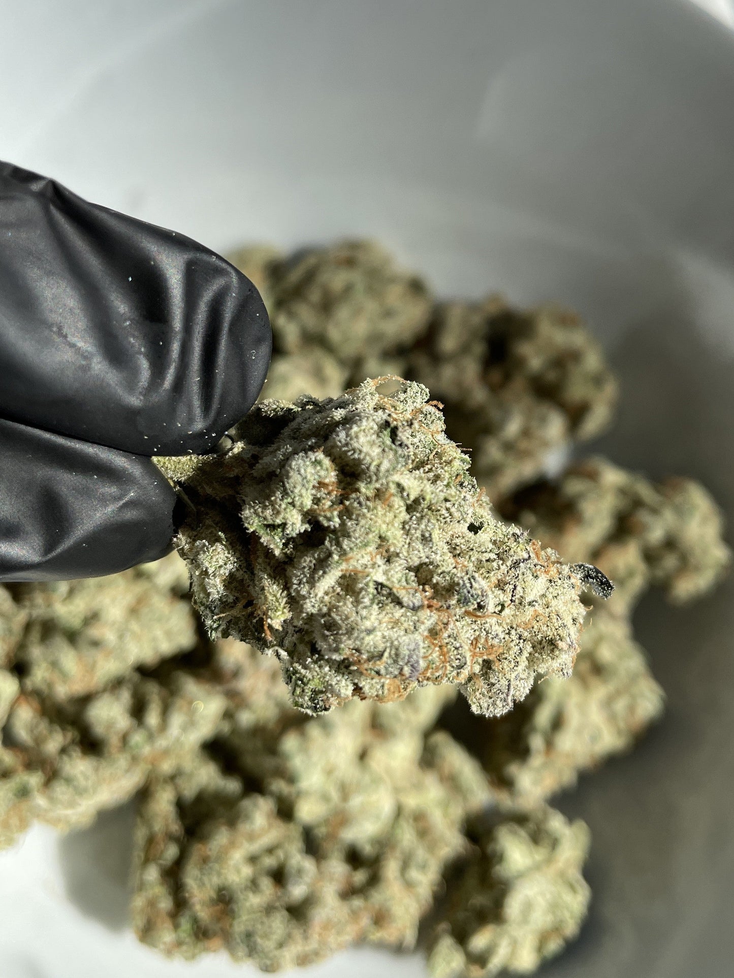 Toyz (aka Half Pint) Flower