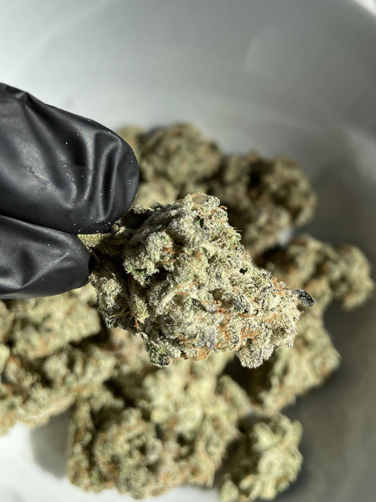 Toyz (aka Half Pint) Flower